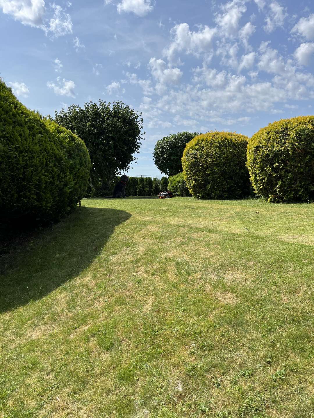 Garten